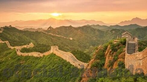 大象传媒 米欧-探索米欧与大象传媒的非凡旅程，创意与责任的交响曲