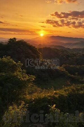 大象视频下载最新版-探索大象视频下载最新版，解锁高清娱乐新体验